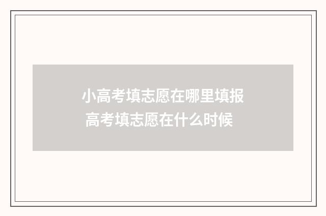小高考填志愿在哪里填报 高考填志愿在什么时候
