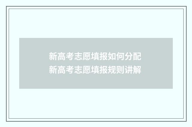 新高考志愿填报如何分配 新高考志愿填报规则讲解