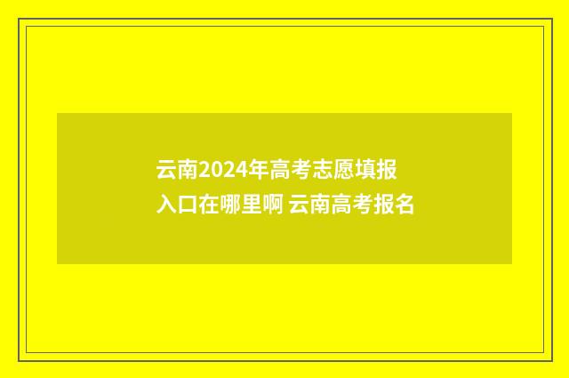 云南2024年高考志愿填报入口在哪里啊 云南高考报名
