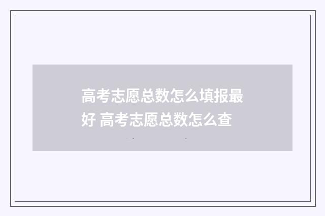 高考志愿总数怎么填报最好 高考志愿总数怎么查