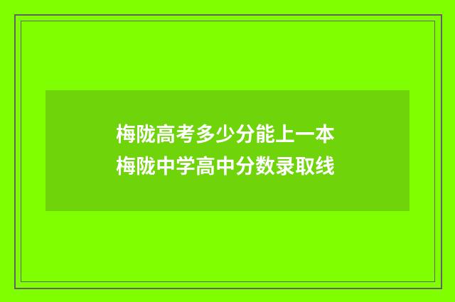梅陇高考多少分能上一本 梅陇中学高中分数录取线
