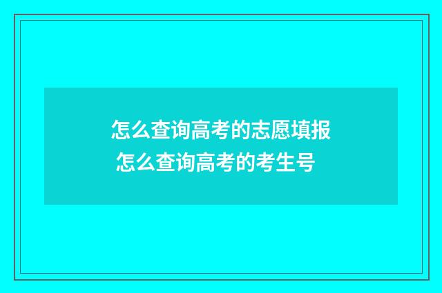 怎么查询高考的志愿填报 怎么查询高考的考生号