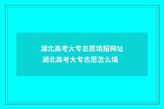湖北高考大专志愿填报网址 湖北高考大专志愿怎么填