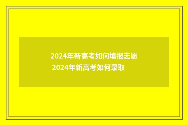 2024年新高考如何填报志愿 2024年新高考如何录取