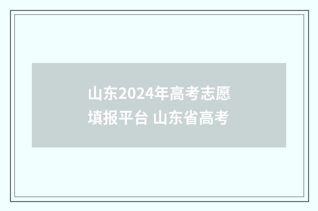 山东2024年高考志愿填报平台 山东省高考