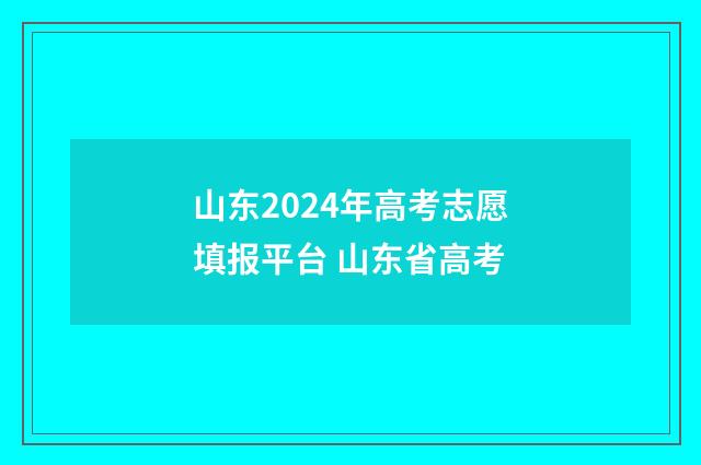 山东2024年高考志愿填报平台 山东省高考