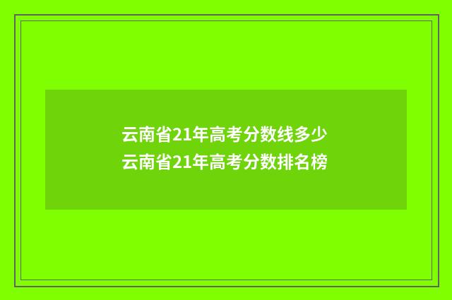 云南省21年高考分数线多少 云南省21年高考分数排名榜