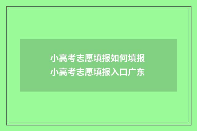 小高考志愿填报如何填报 小高考志愿填报入口广东