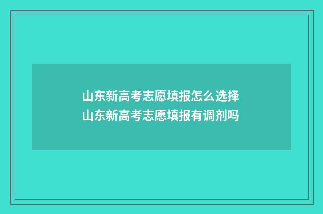 山东新高考志愿填报怎么选择 山东新高考志愿填报有调剂吗