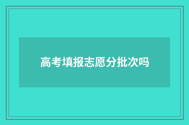 高考填报志愿分批次吗