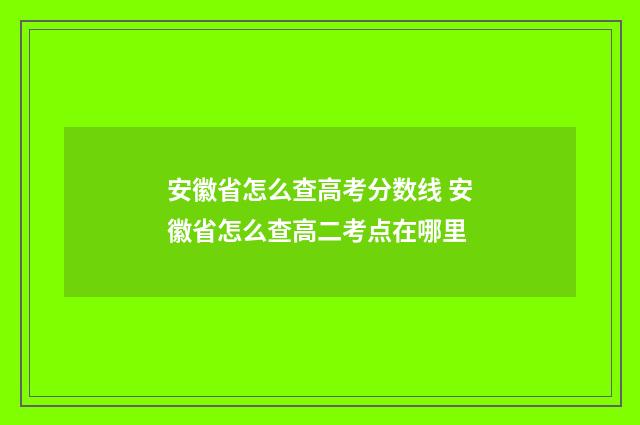 安徽省怎么查高考分数线 安徽省怎么查高二考点在哪里