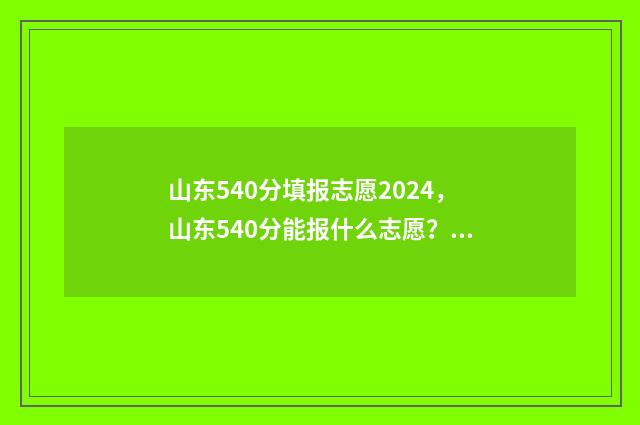 山东540分填报志愿2024，山东540分能报什么志愿？ 2020年山东高考540分是多少名次
