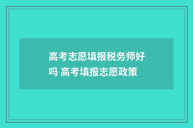 高考志愿填报税务师好吗 高考填报志愿政策