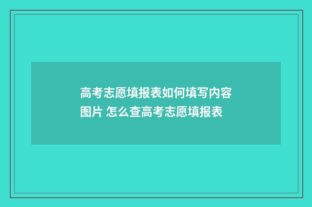高考志愿填报表如何填写内容图片 怎么查高考志愿填报表