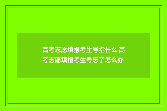 高考志愿填报考生号指什么 高考志愿填报考生号忘了怎么办