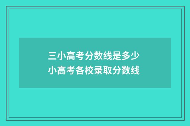 三小高考分数线是多少 小高考各校录取分数线
