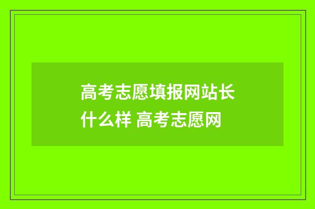 高考志愿填报网站长什么样 高考志愿网