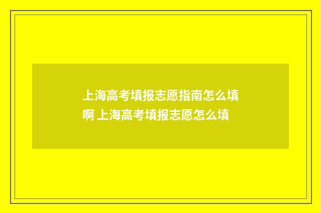 上海高考填报志愿指南怎么填啊 上海高考填报志愿怎么填