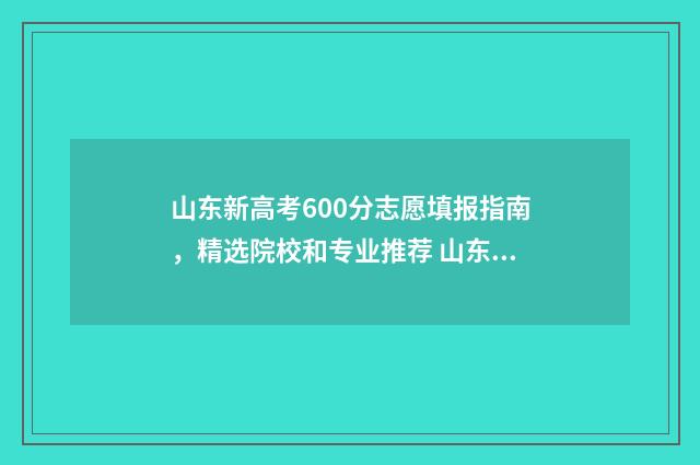 山东新高考600分志愿填报指南，精选院校和专业推荐 山东新高考600分能上211