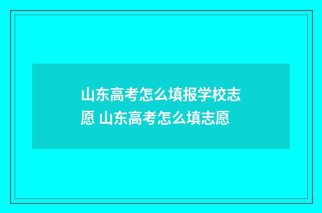 山东高考怎么填报学校志愿 山东高考怎么填志愿