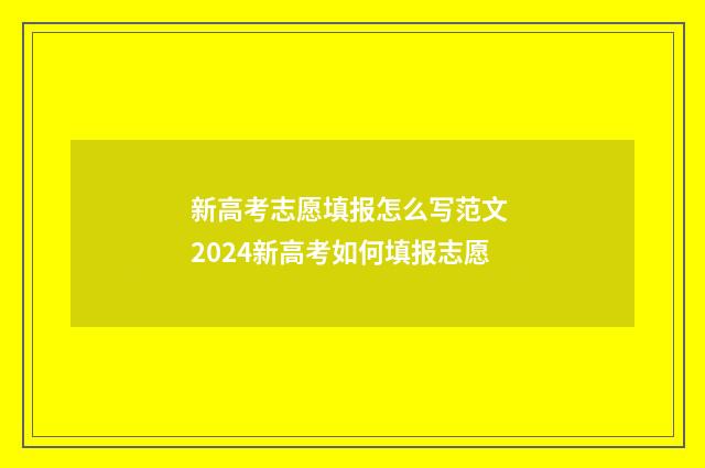 新高考志愿填报怎么写范文 2024新高考如何填报志愿