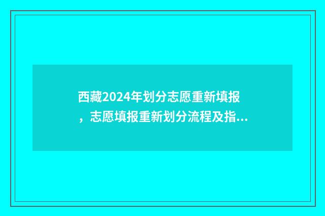 西藏2024年划分志愿重新填报，志愿填报重新划分流程及指南 西藏2035规划