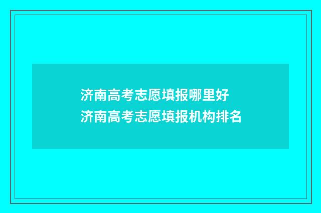 济南高考志愿填报哪里好 济南高考志愿填报机构排名