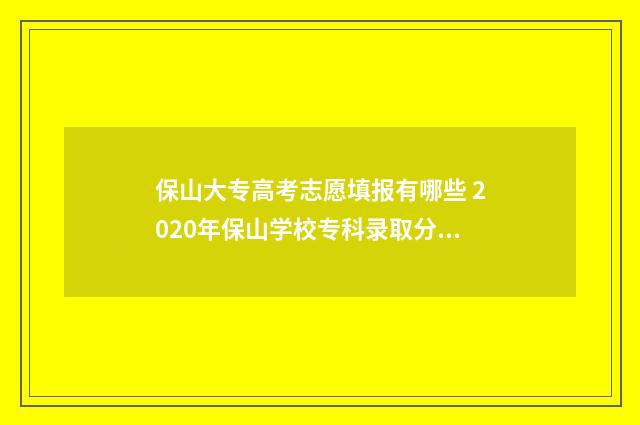 保山大专高考志愿填报有哪些 2020年保山学校专科录取分数线