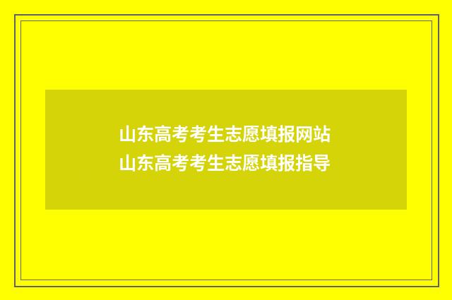 山东高考考生志愿填报网站 山东高考考生志愿填报指导