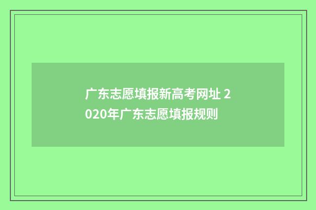 广东志愿填报新高考网址 2020年广东志愿填报规则