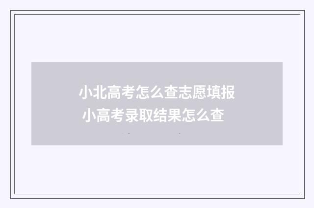 小北高考怎么查志愿填报 小高考录取结果怎么查