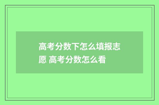 高考分数下怎么填报志愿 高考分数怎么看