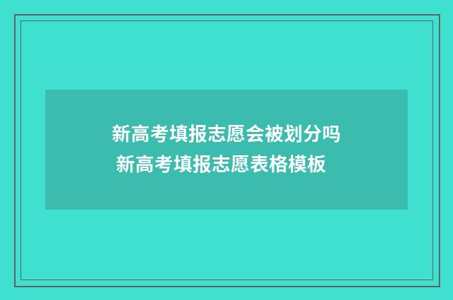 新高考填报志愿会被划分吗 新高考填报志愿表格模板