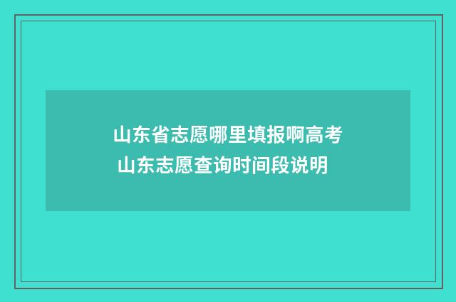 山东省志愿哪里填报啊高考 山东志愿查询时间段说明