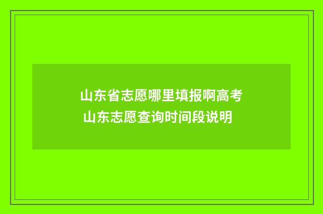 山东省志愿哪里填报啊高考 山东志愿查询时间段说明