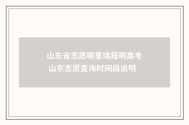 山东省志愿哪里填报啊高考 山东志愿查询时间段说明