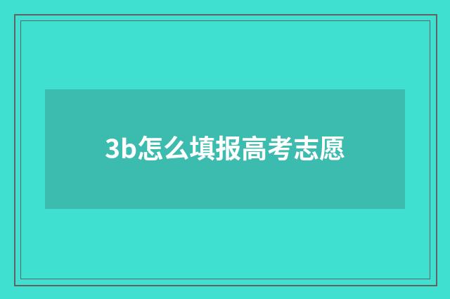 3b怎么填报高考志愿