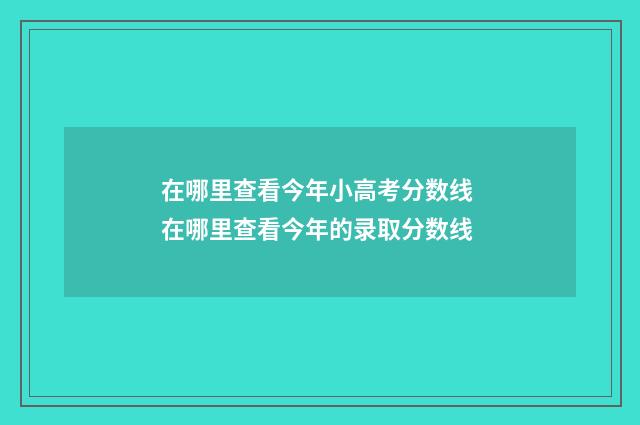 在哪里查看今年小高考分数线 在哪里查看今年的录取分数线