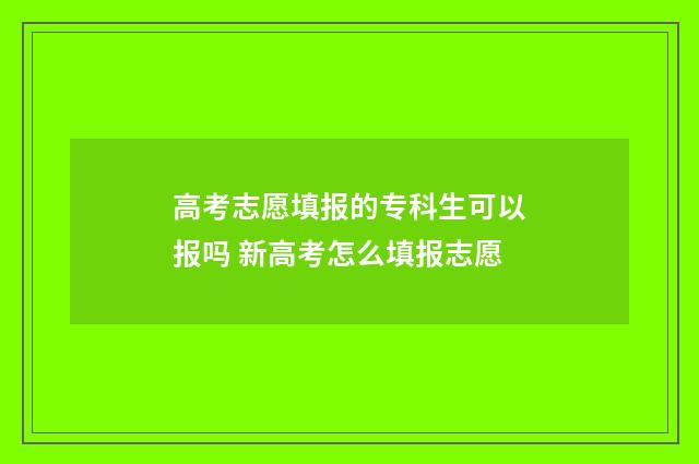 高考志愿填报的专科生可以报吗 新高考怎么填报志愿