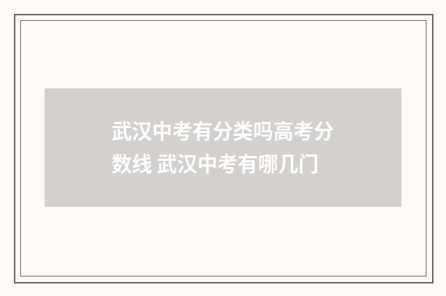 武汉中考有分类吗高考分数线 武汉中考有哪几门
