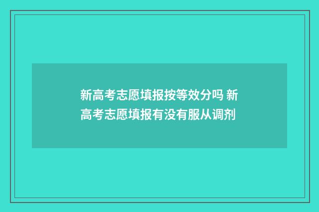 新高考志愿填报按等效分吗 新高考志愿填报有没有服从调剂