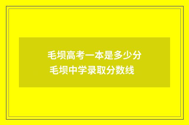 毛坝高考一本是多少分 毛坝中学录取分数线