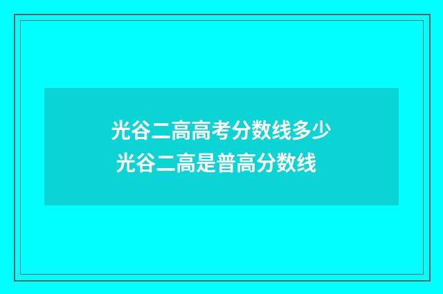 光谷二高高考分数线多少 光谷二高是普高分数线