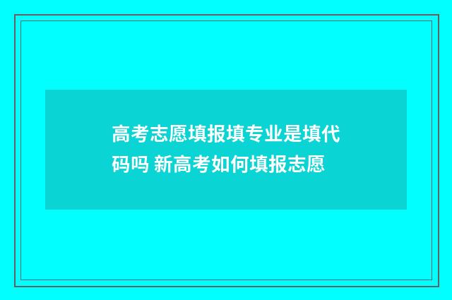 高考志愿填报填专业是填代码吗 新高考如何填报志愿