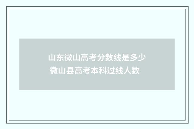 山东微山高考分数线是多少 微山县高考本科过线人数