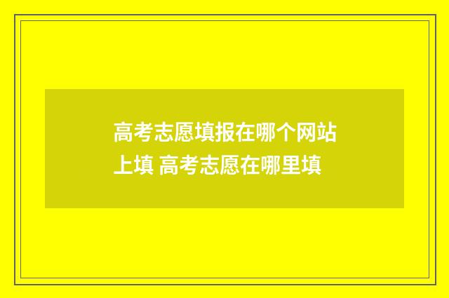 高考志愿填报在哪个网站上填 高考志愿在哪里填