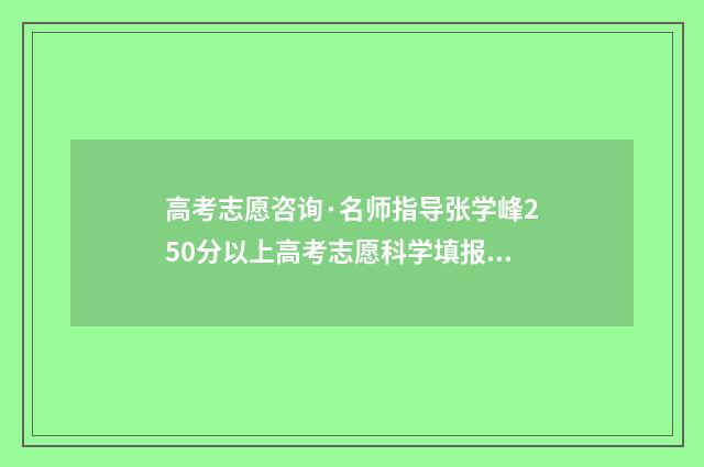 高考志愿咨询·名师指导张学峰250分以上高考志愿科学填报 高考志愿咨询服务平台