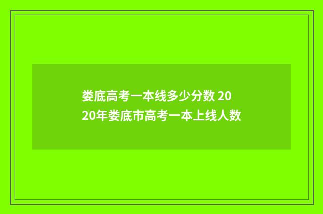 娄底高考一本线多少分数 2020年娄底市高考一本上线人数