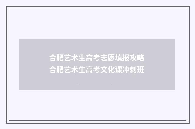 合肥艺术生高考志愿填报攻略 合肥艺术生高考文化课冲刺班