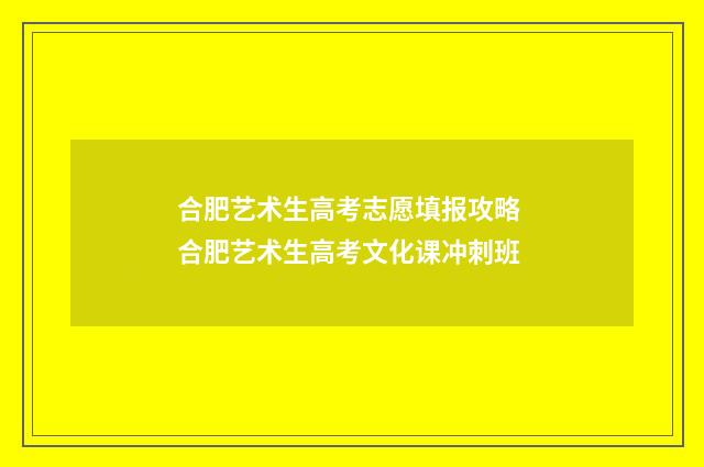 合肥艺术生高考志愿填报攻略 合肥艺术生高考文化课冲刺班